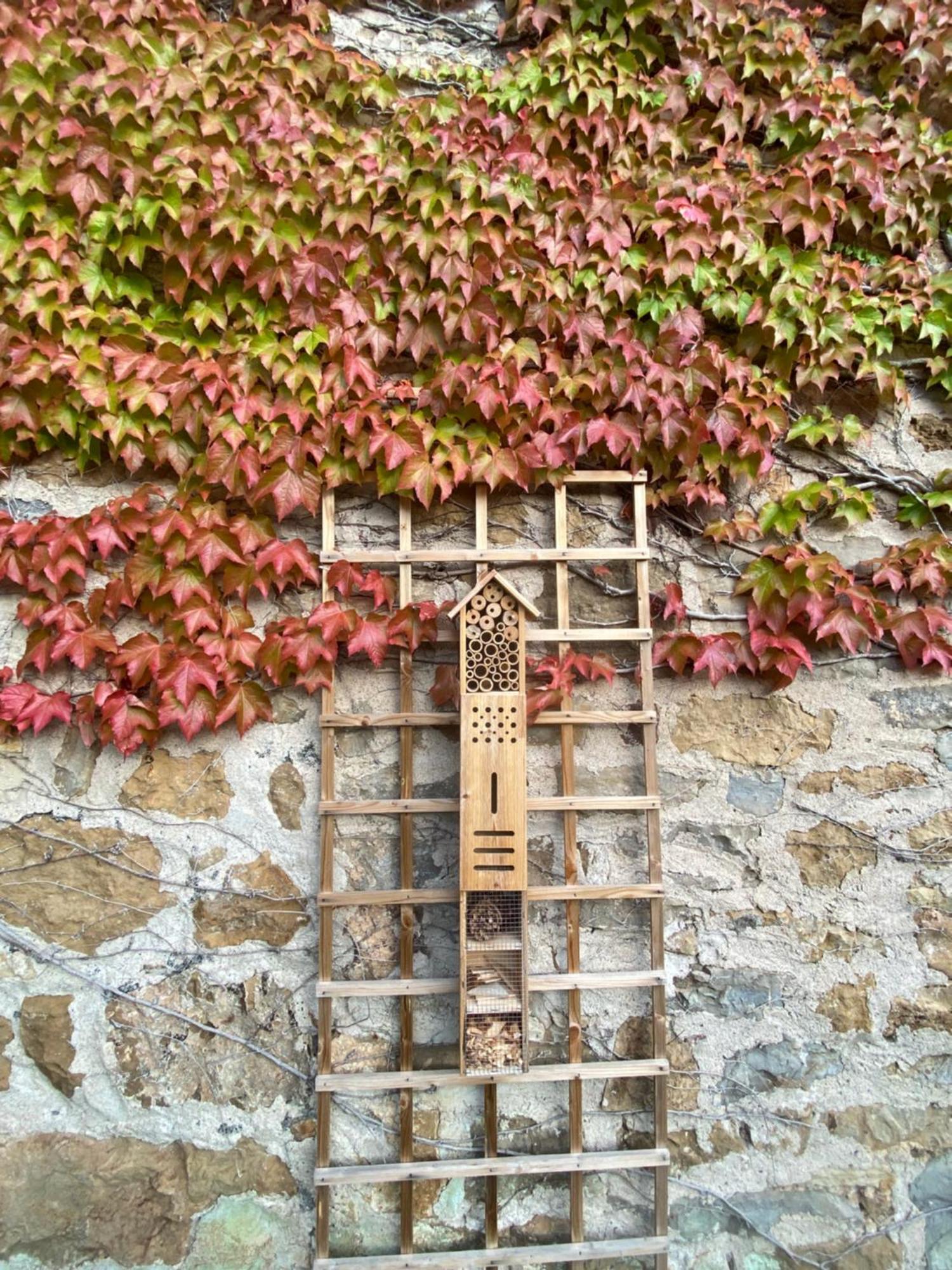 Les Caselles, Gite Et Maison D'Hotes Saint-Beauzely Exteriér fotografie